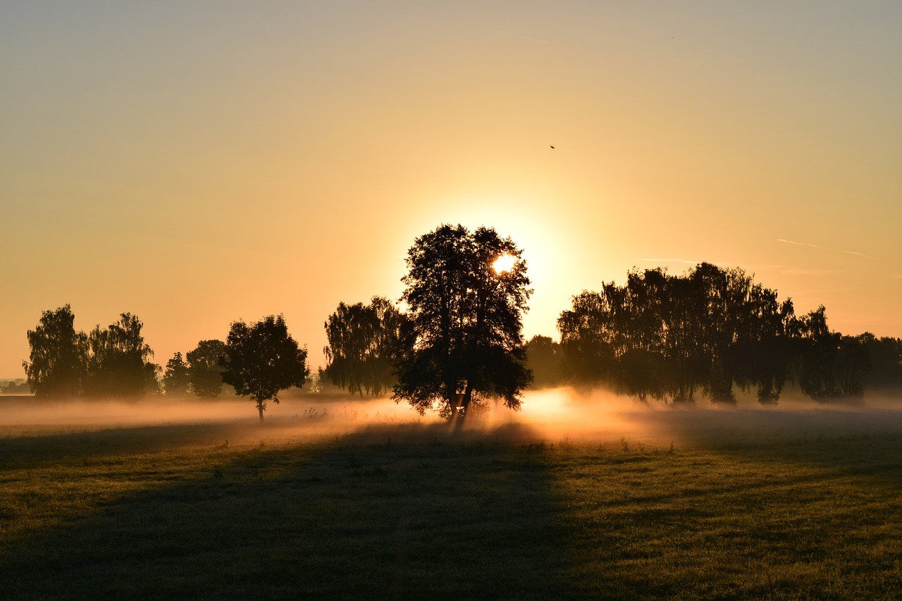 Image - sunrise morning mist morgenrot