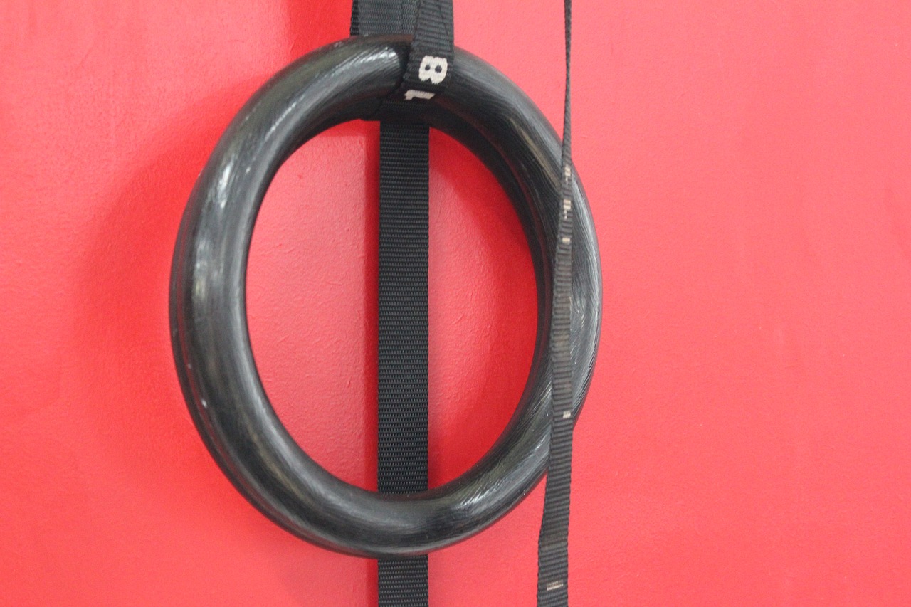 Image - gymnastic rings rings gymnastics