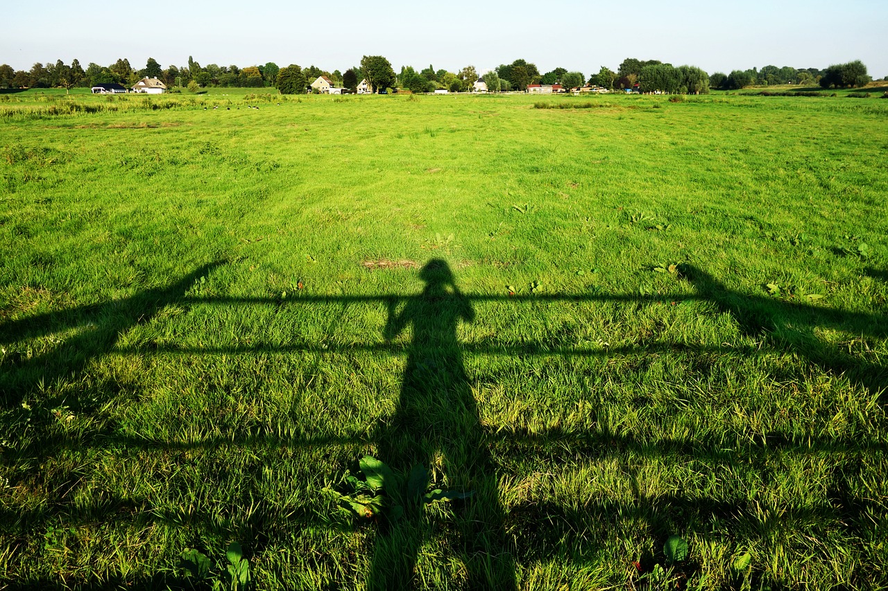 Image - shadow person sunlight field