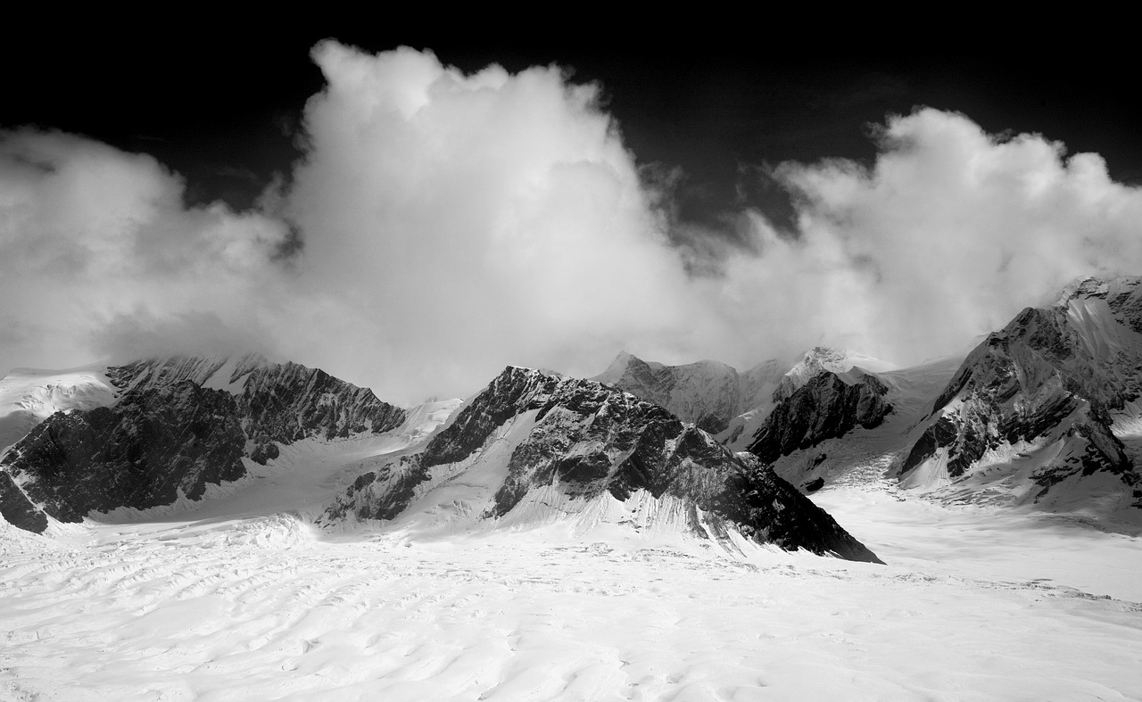 Image - denali denali national park alaska