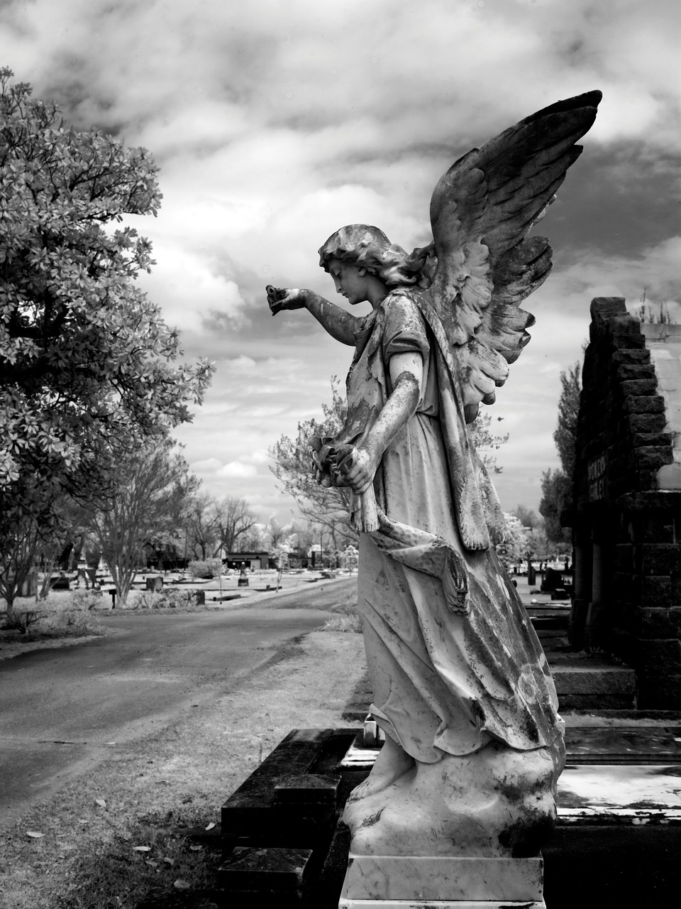 Image - cemetery magnolia cemetery mobile