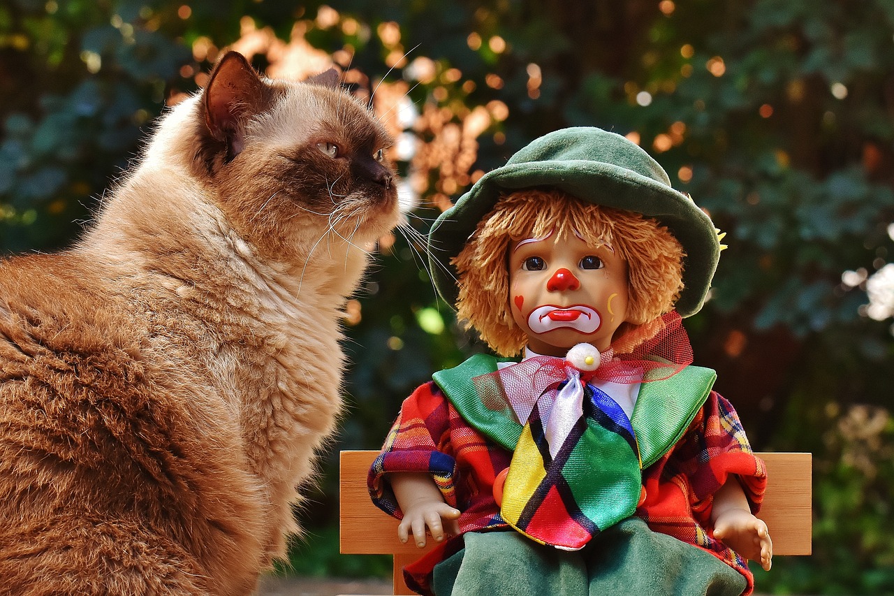 Image - doll clown sad bank cat