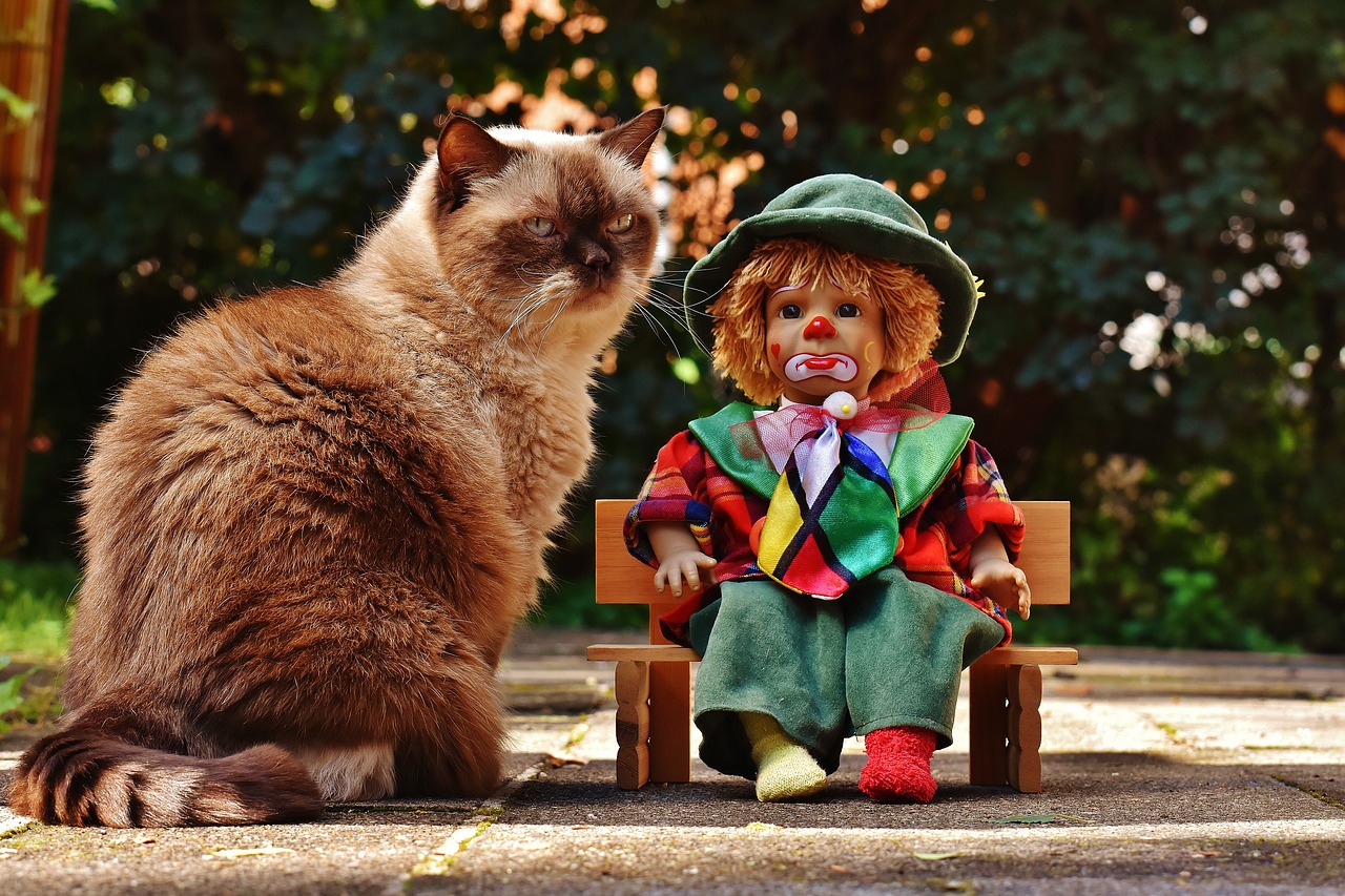 Image - doll clown sad bank cat