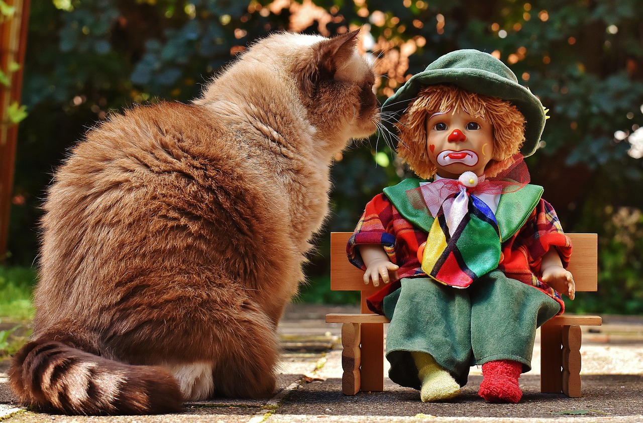 Image - doll clown sad bank cat