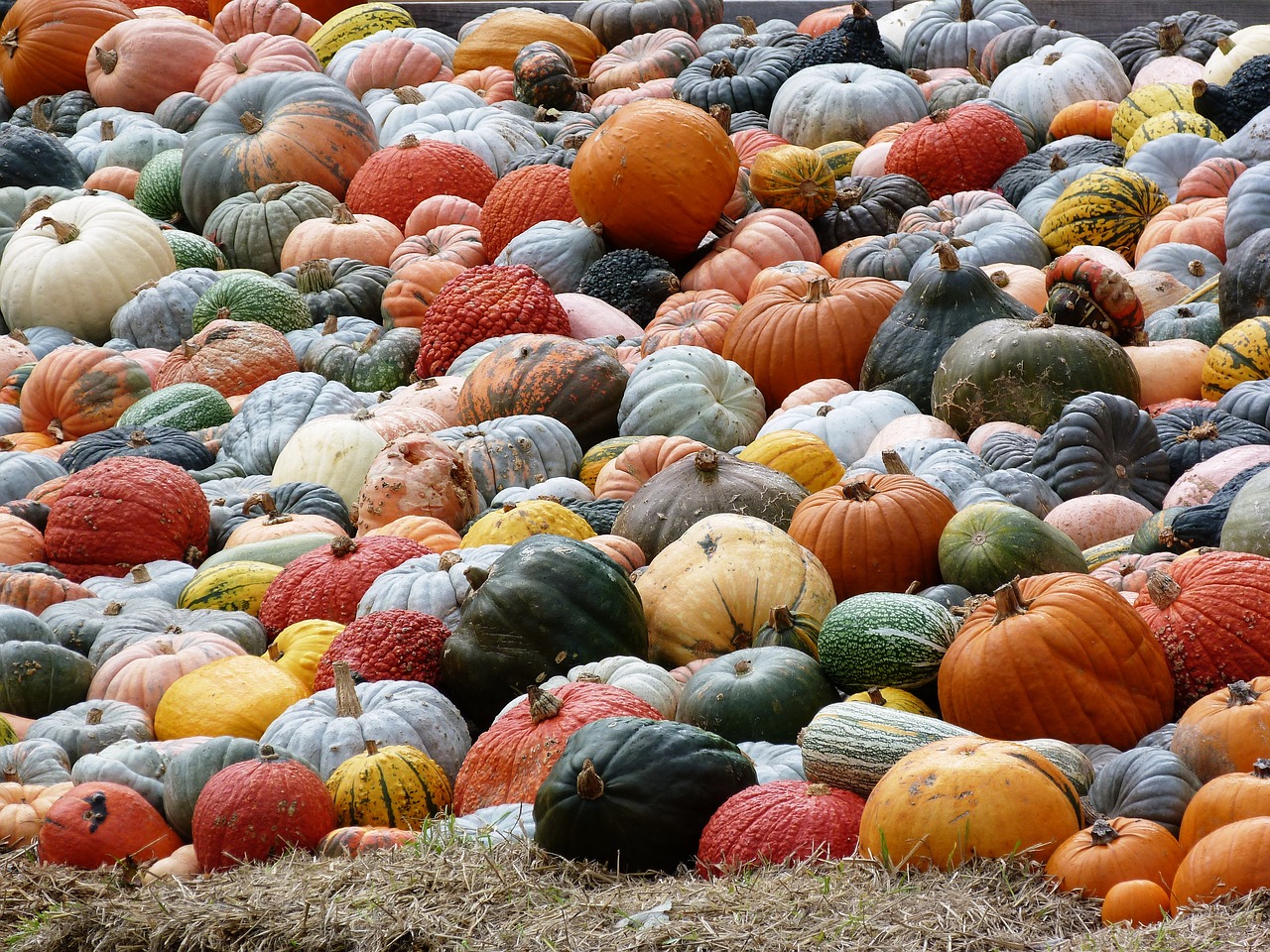 Image - pumpkin autumn autumn colours