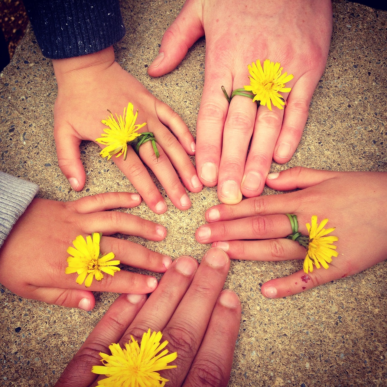 Image - family hand outdoors ireland