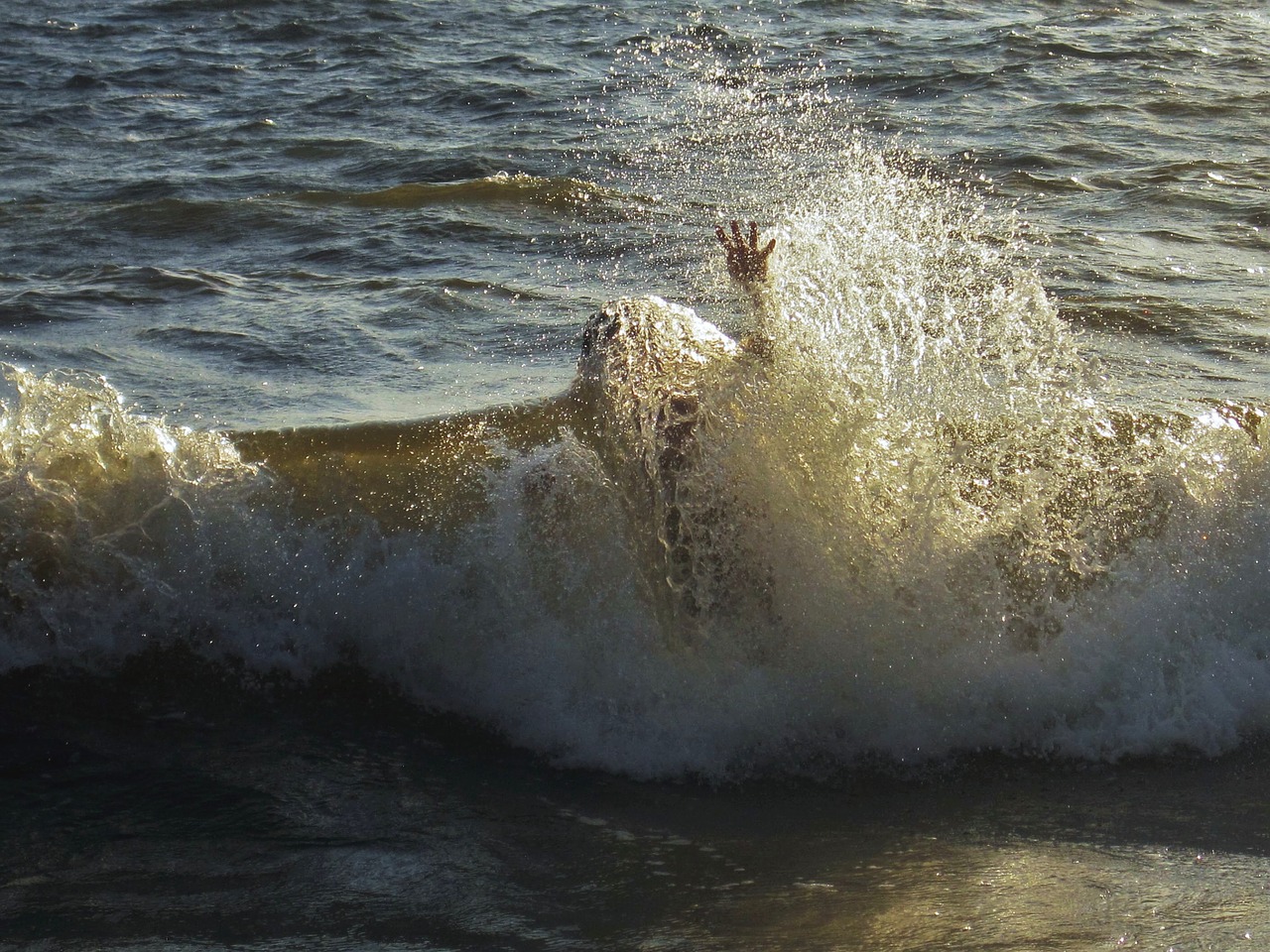 Image - sea wave submerged swim hand