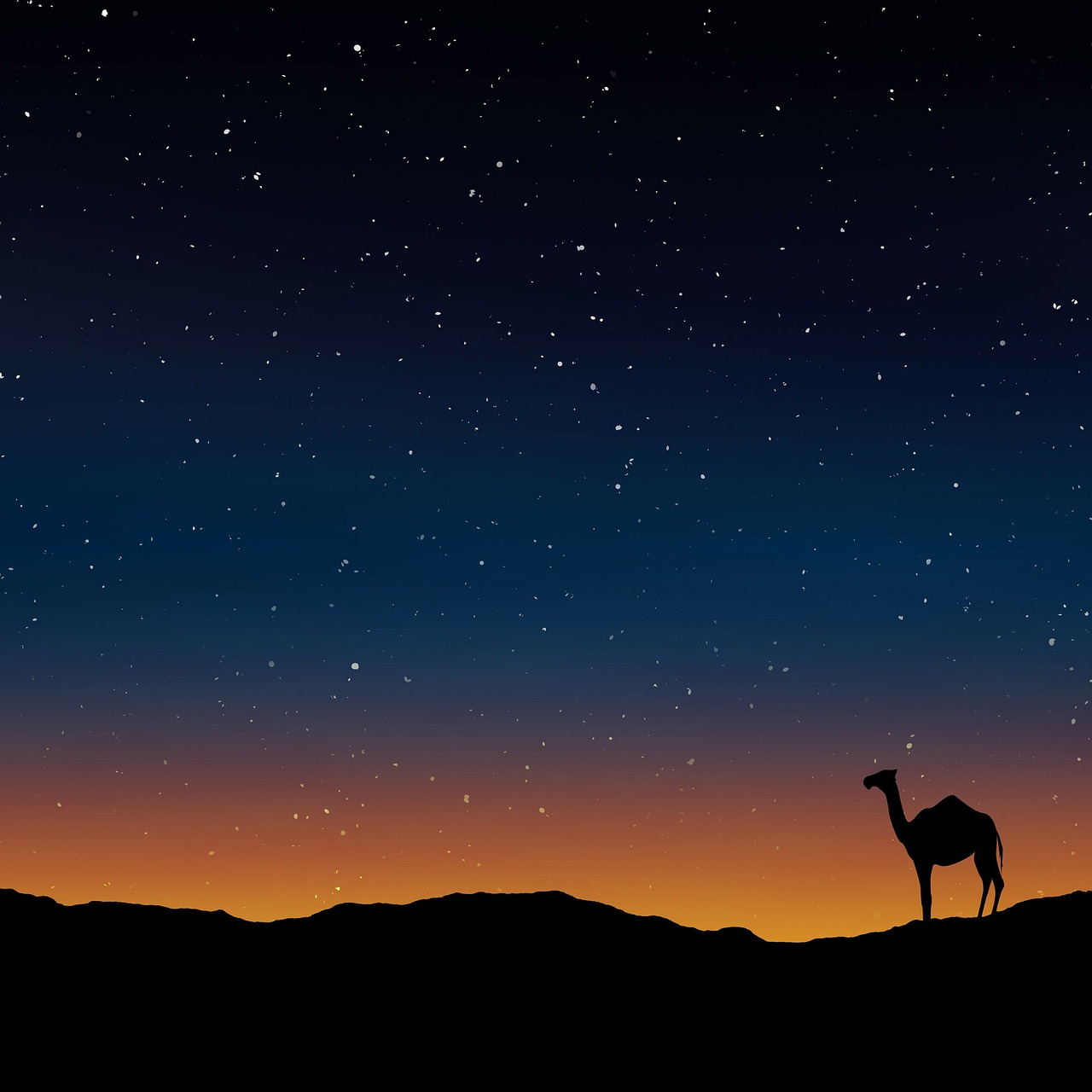 Image - camel oman egypt morocco wallpaper