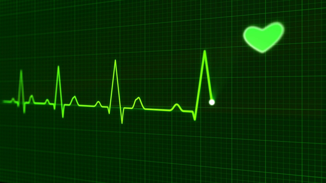 Image - heartbeat pulse healthcare medicine