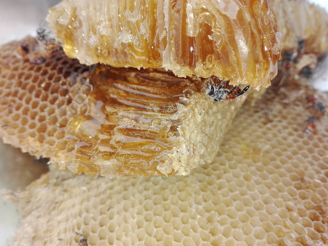 Image - honey health bee