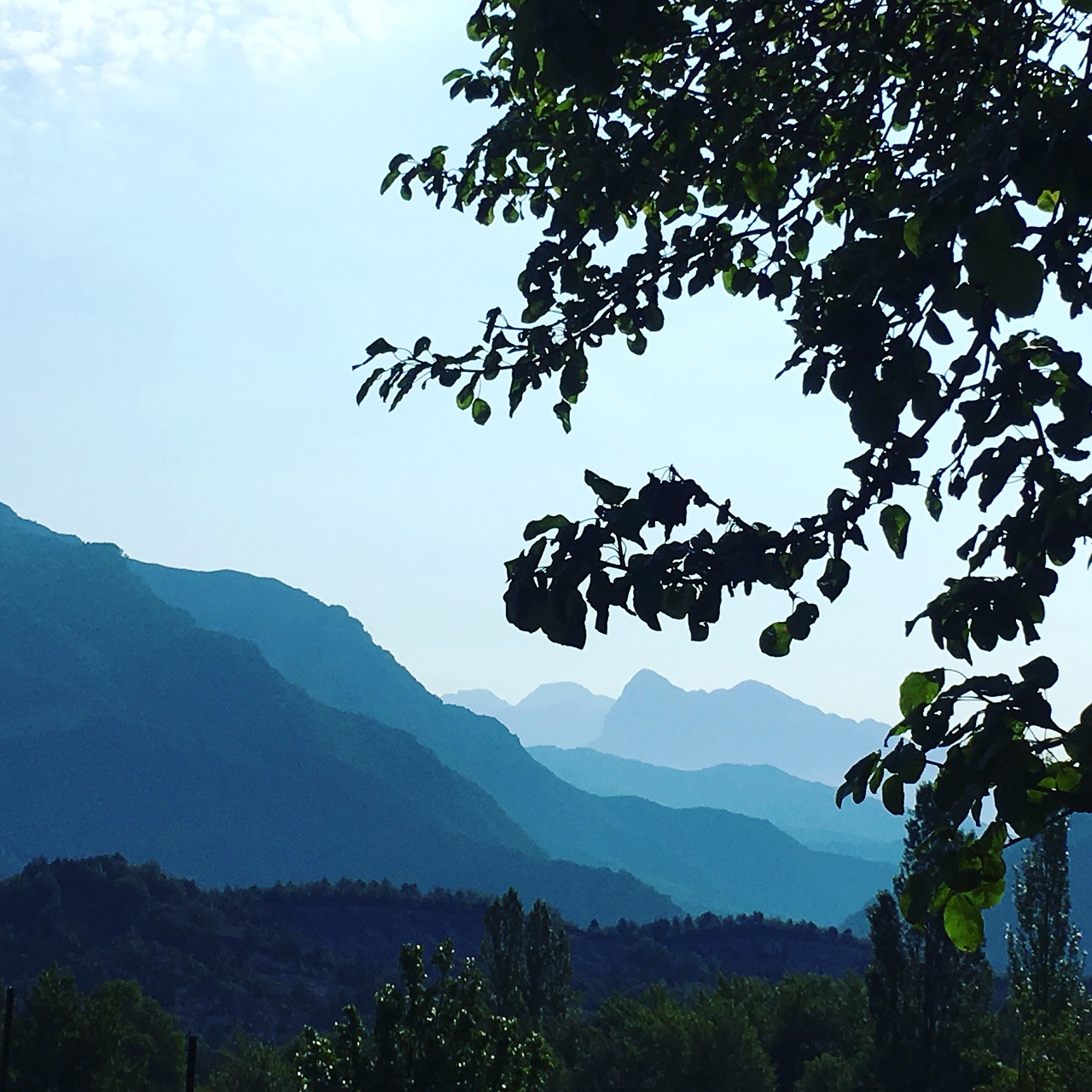 Image - aragonese pyrenees mountains tree