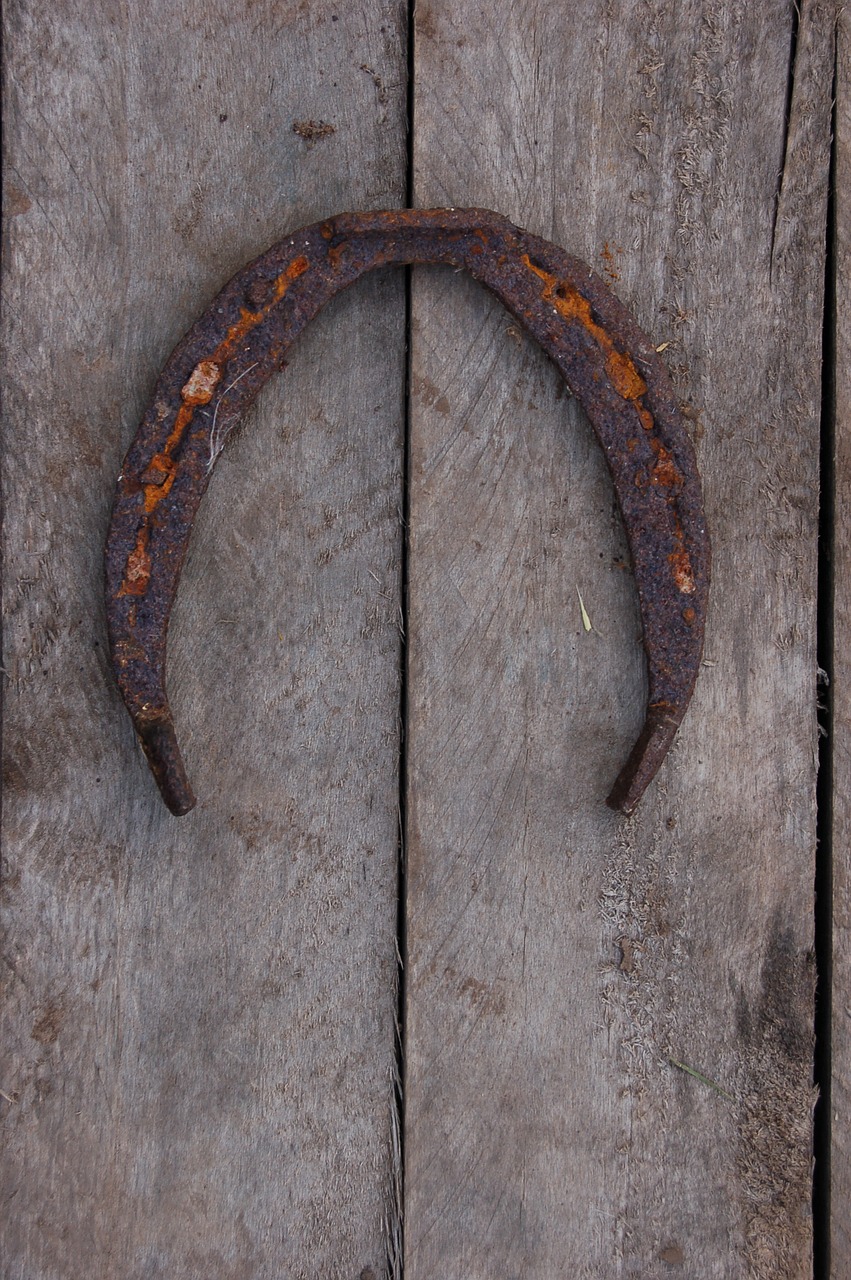 Image - horseshoe vintage tree old retro