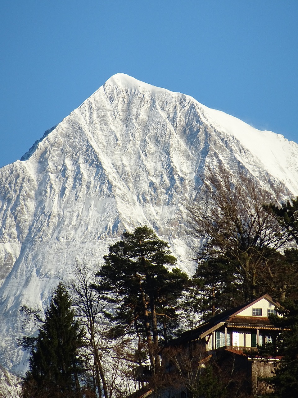 Image - snow alpine ausblik ski ski area