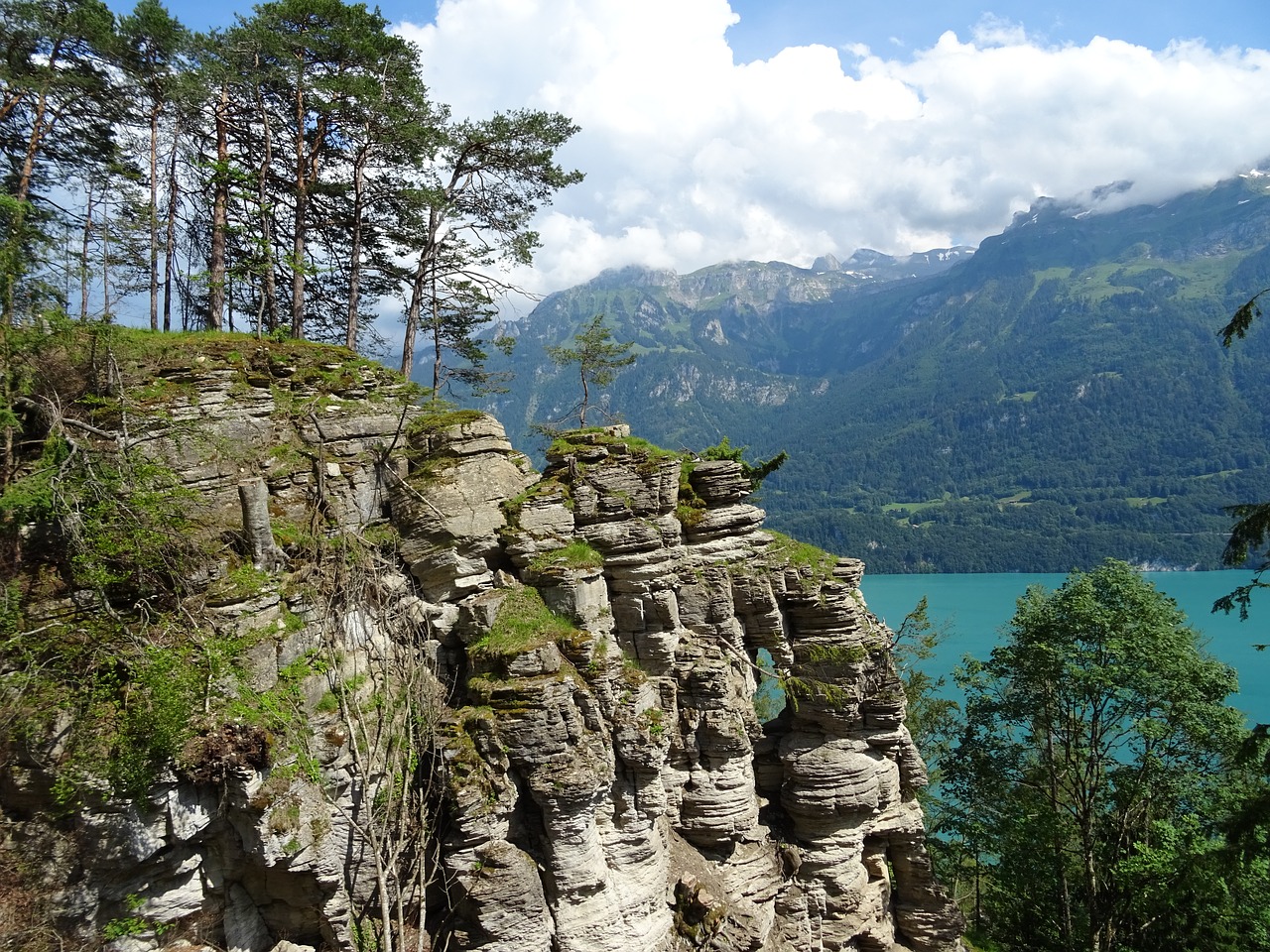 Image - rock mountains cliffs tree pine