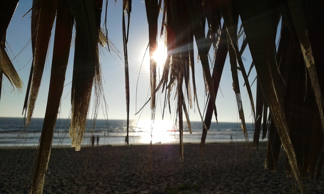 Image - beach sunset sea backlight