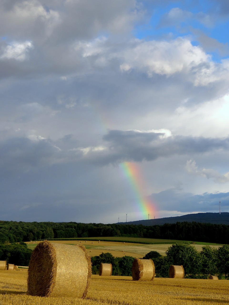 Image - rainbow color field harvest