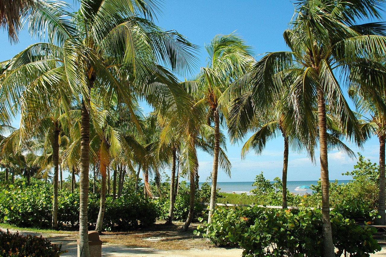 Image - key west florida tropical beach