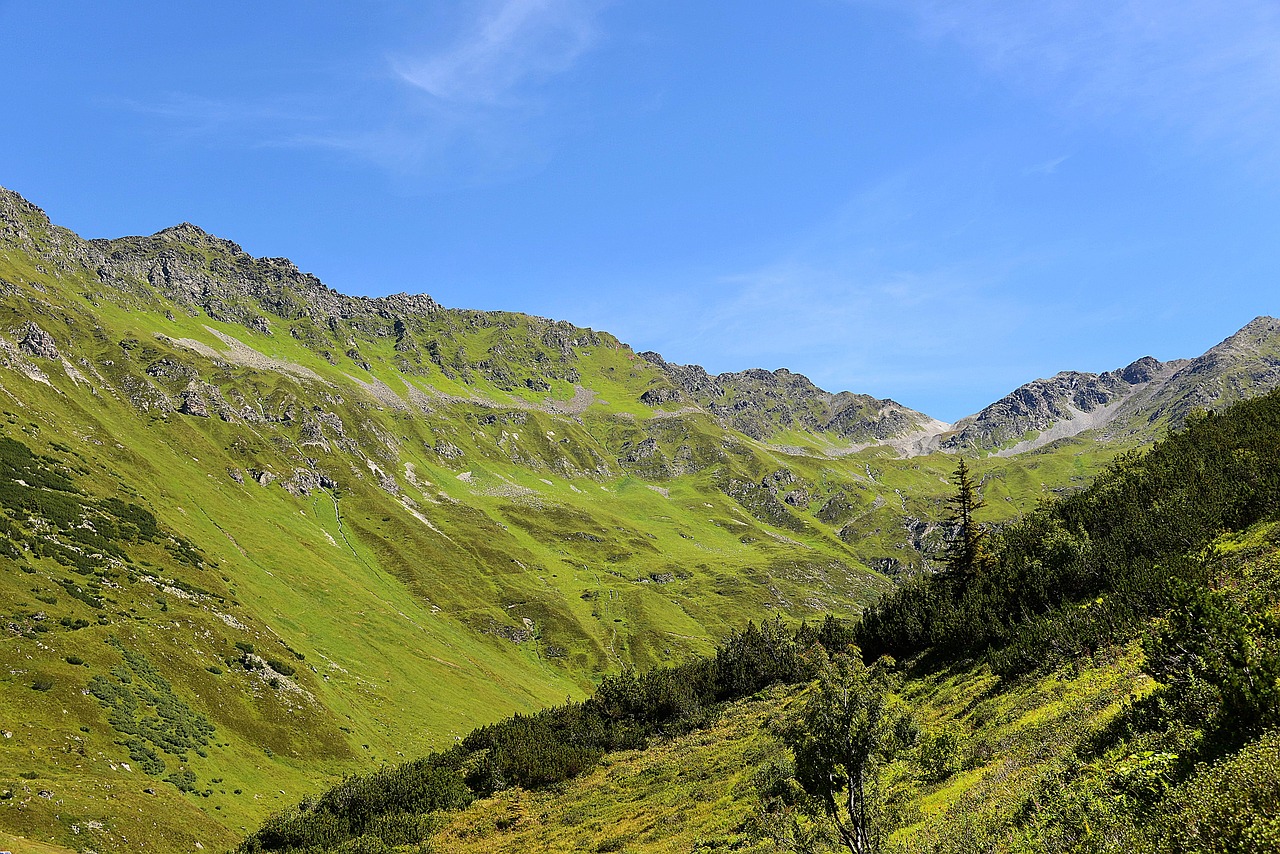 Image - kaunertal mountain meadow tyrol