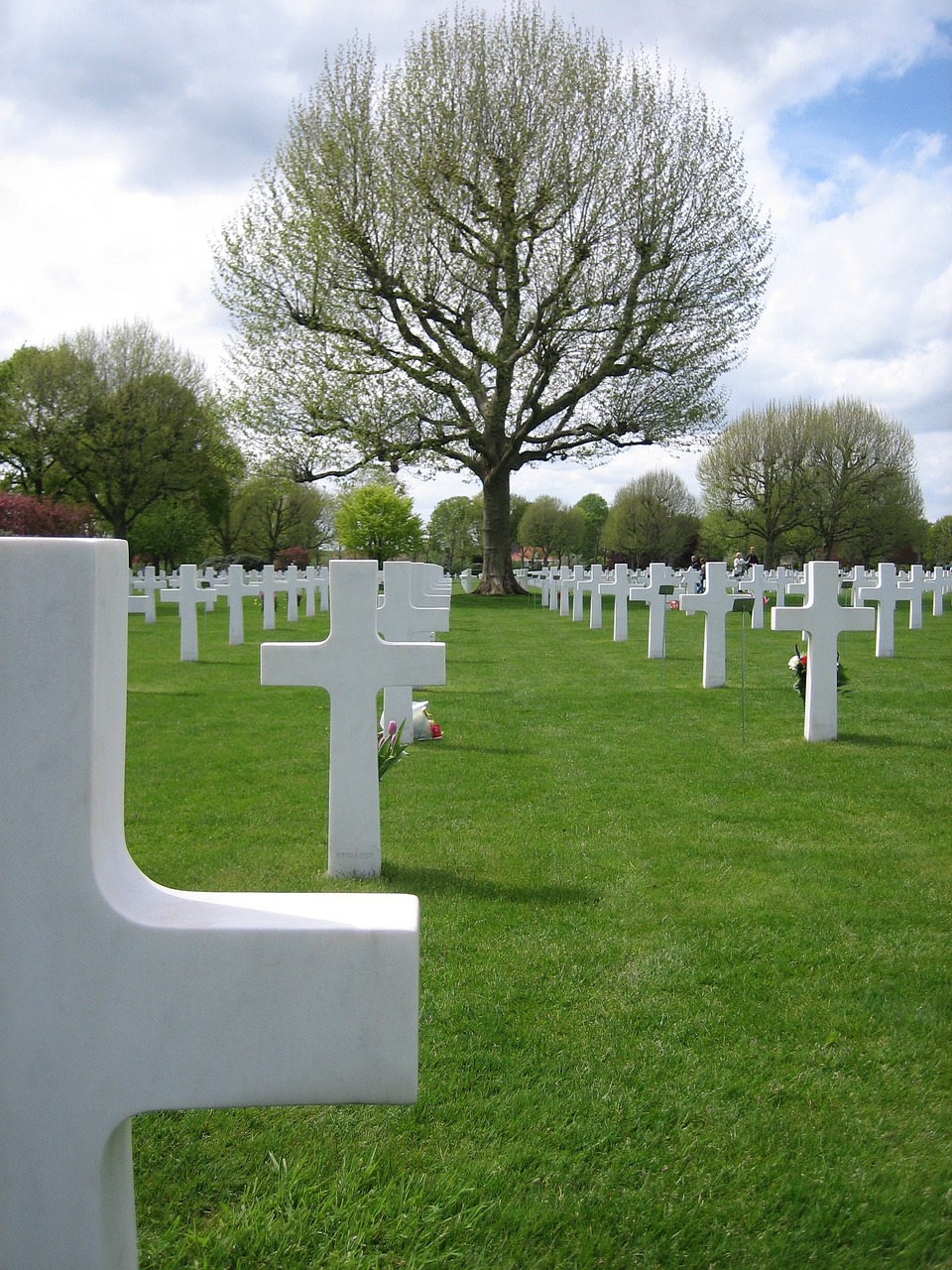Image - war cemetery margraten graveyard