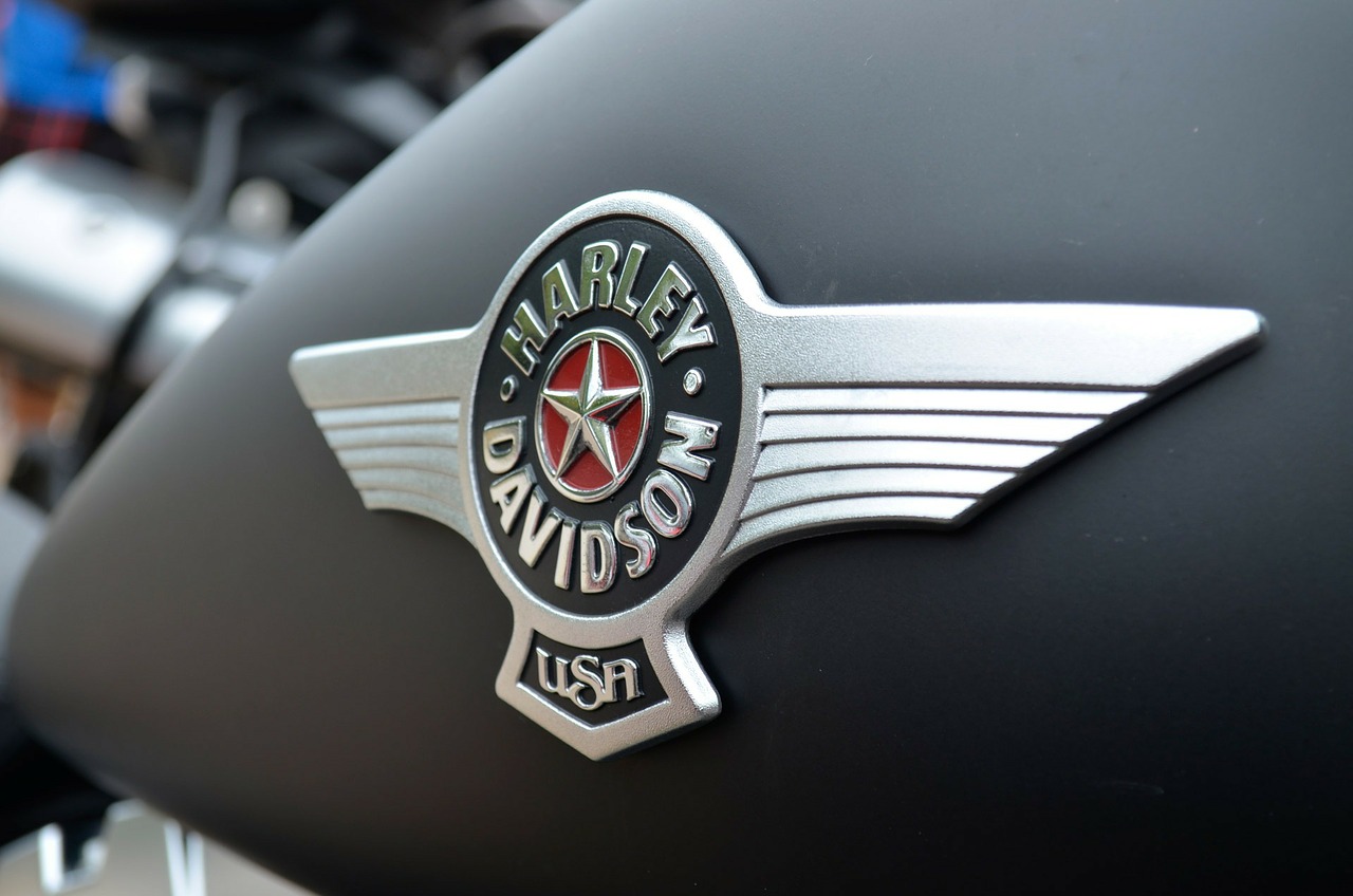 Image - harley davidson brand logo metallic