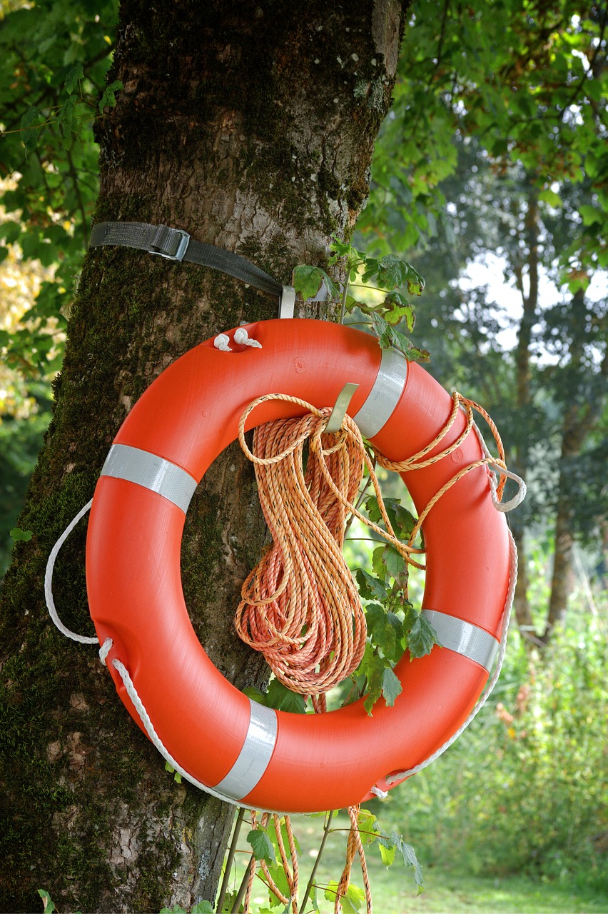 Image - lifebelt ring rescue swimming ring