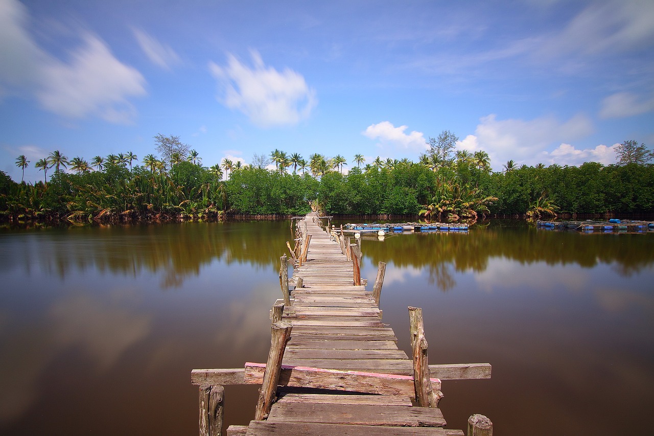 Image - natural jetty river