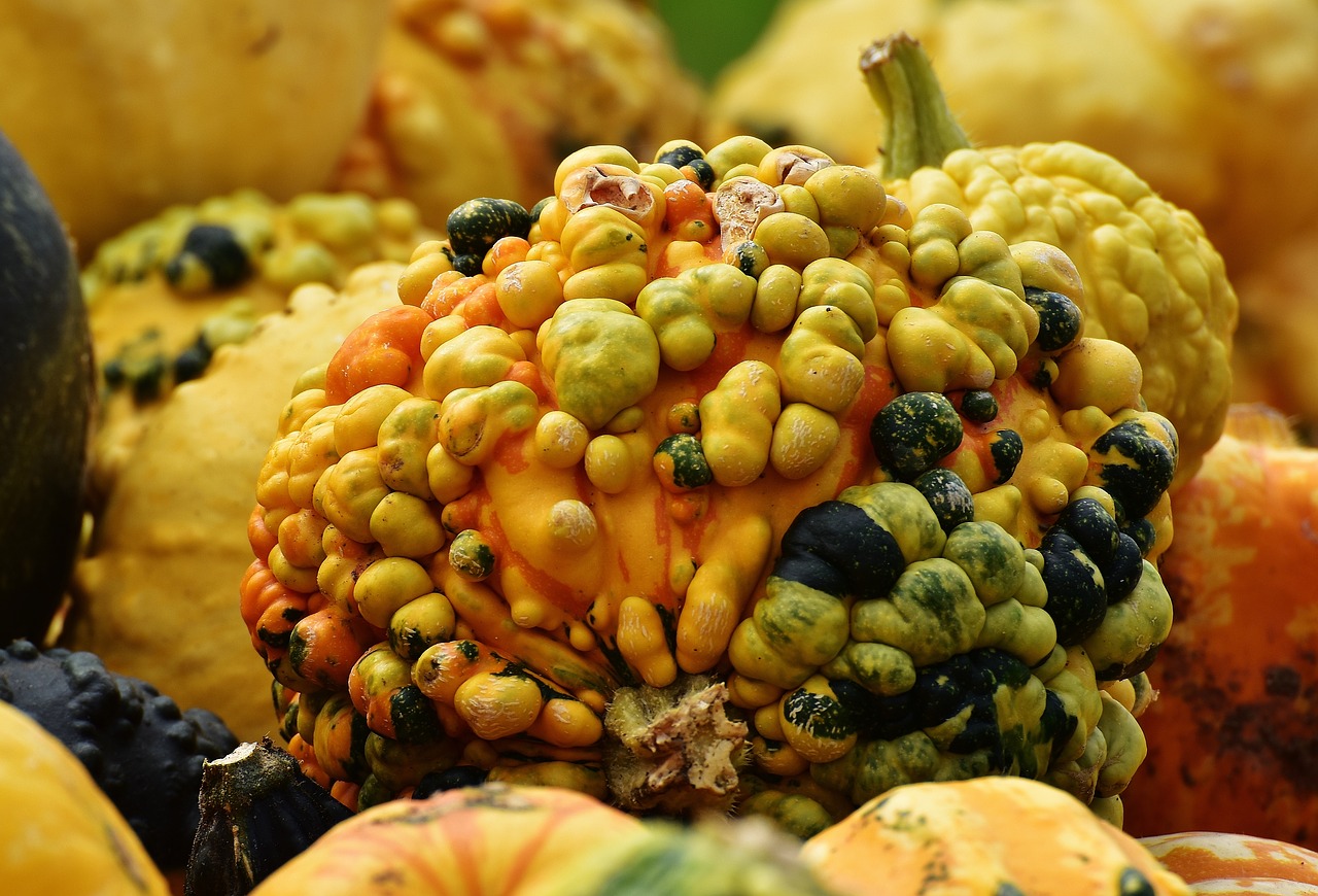 Image - pumpkins autumn autumn decoration