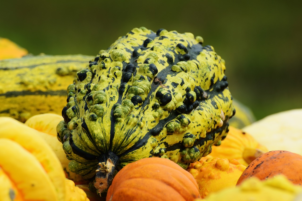 Image - pumpkins autumn autumn decoration