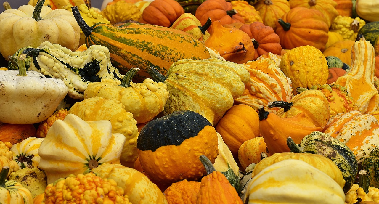 Image - pumpkins autumn autumn decoration