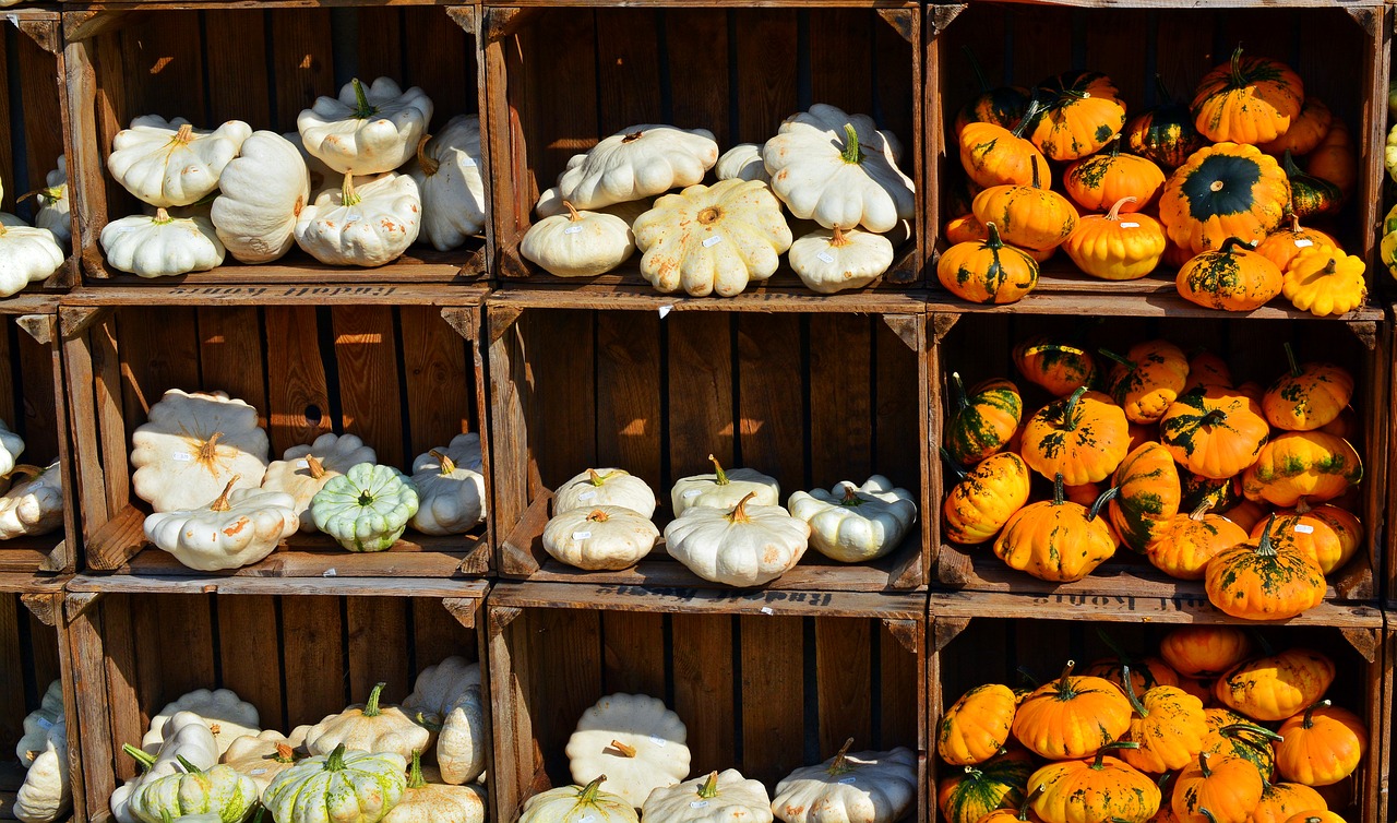 Image - pumpkin harvest time sale