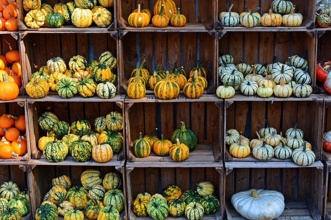 Image - pumpkin harvest time sale