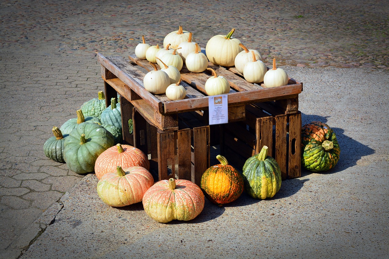 Image - pumpkin harvest time sale