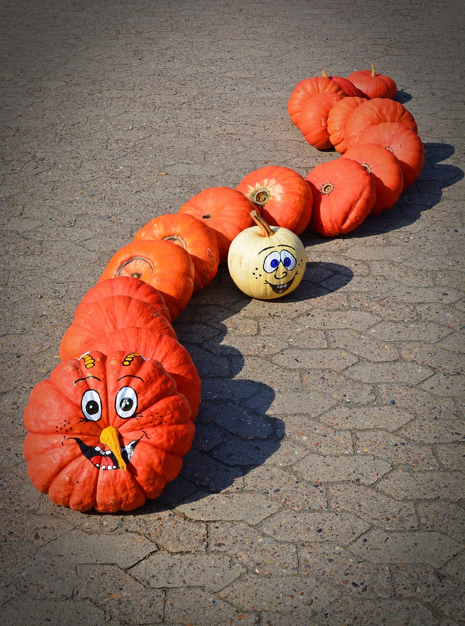 Image - pumpkin funny painted caterpillar