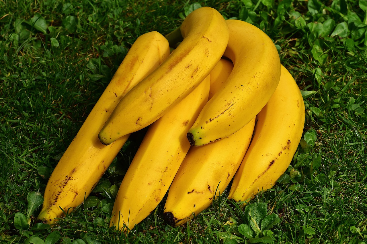 Image - bananas fruits fruit healthy