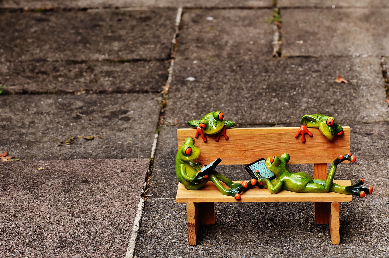 Image - frogs computer bank bench relaxed