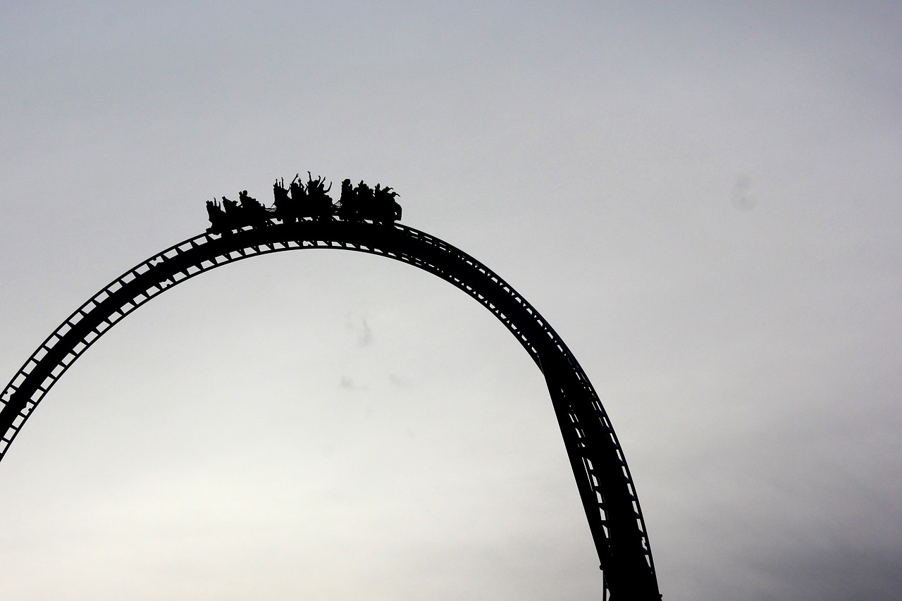 Image - roller coaster games amusement park