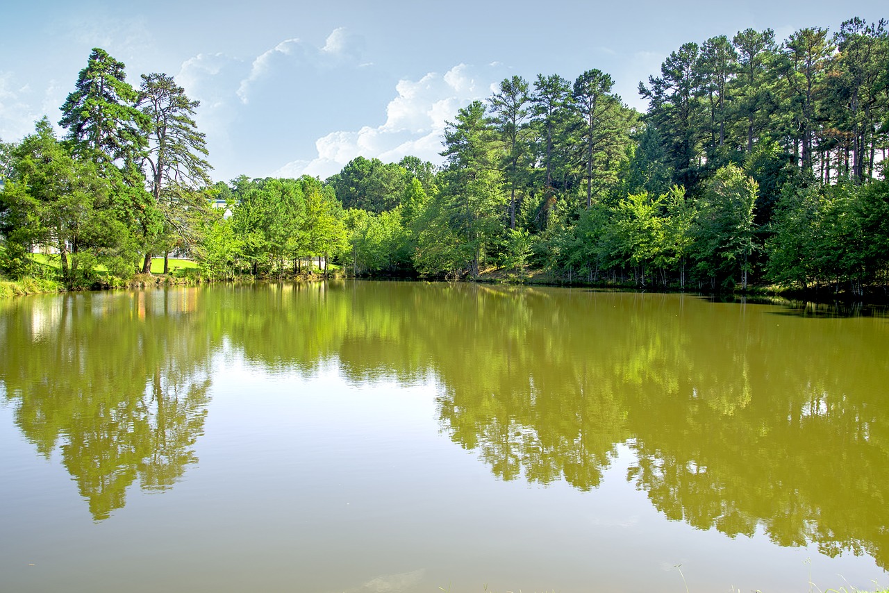 Image - lake green water sky reflect