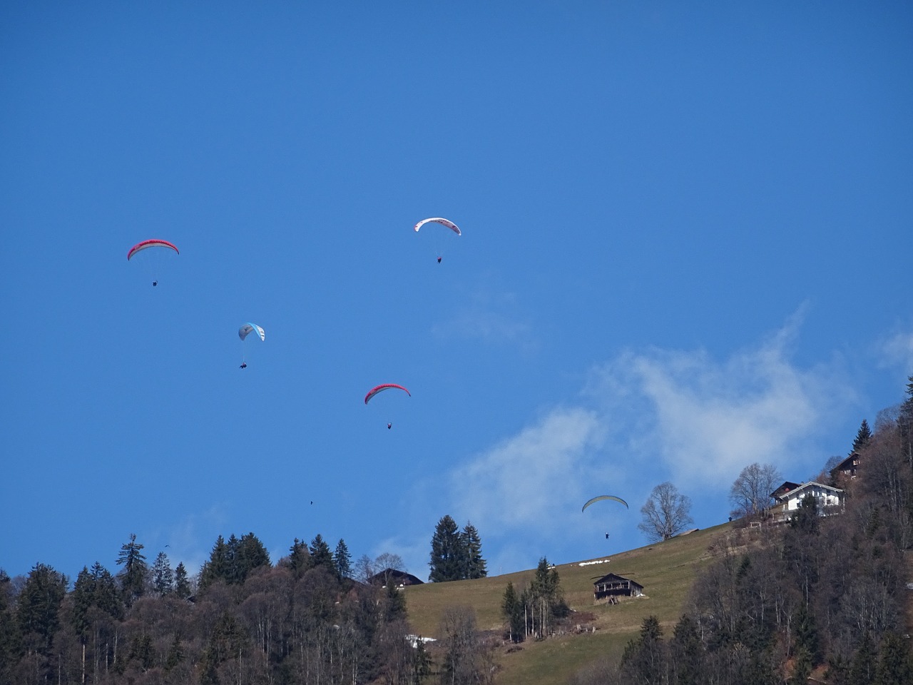 Image - paraglider sky paragliding fly