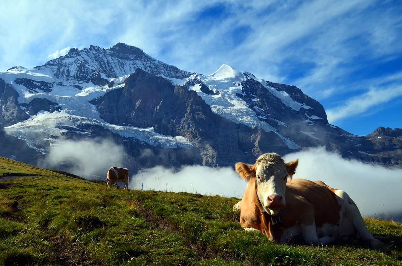 Image - alpine switzerland mountains