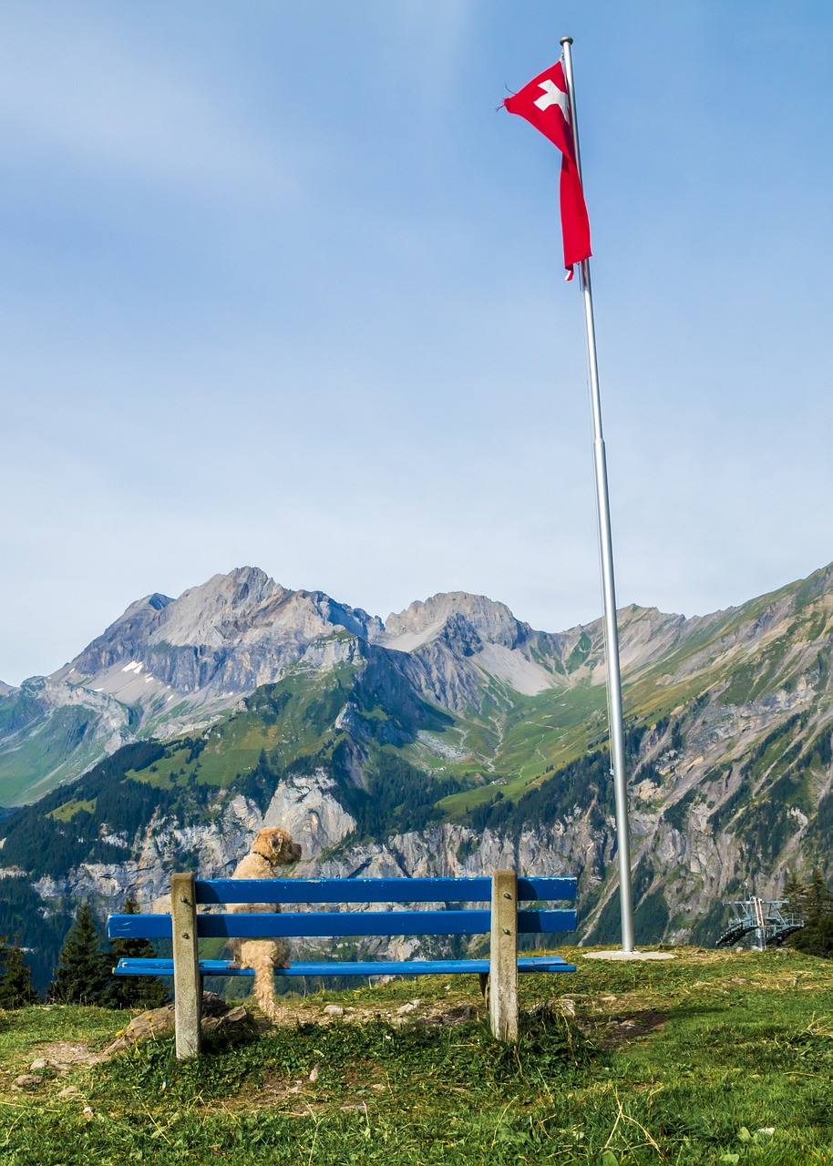 Image - view mountains bank switzerland