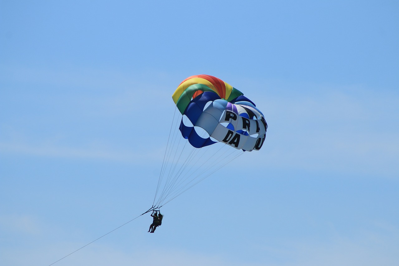 Image - tranquility colorful peace fly