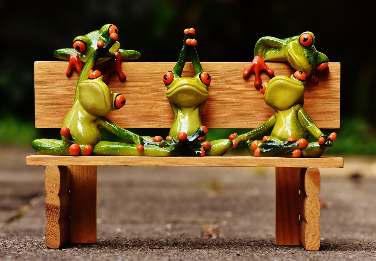 Image - frogs yoga bank bench relaxed