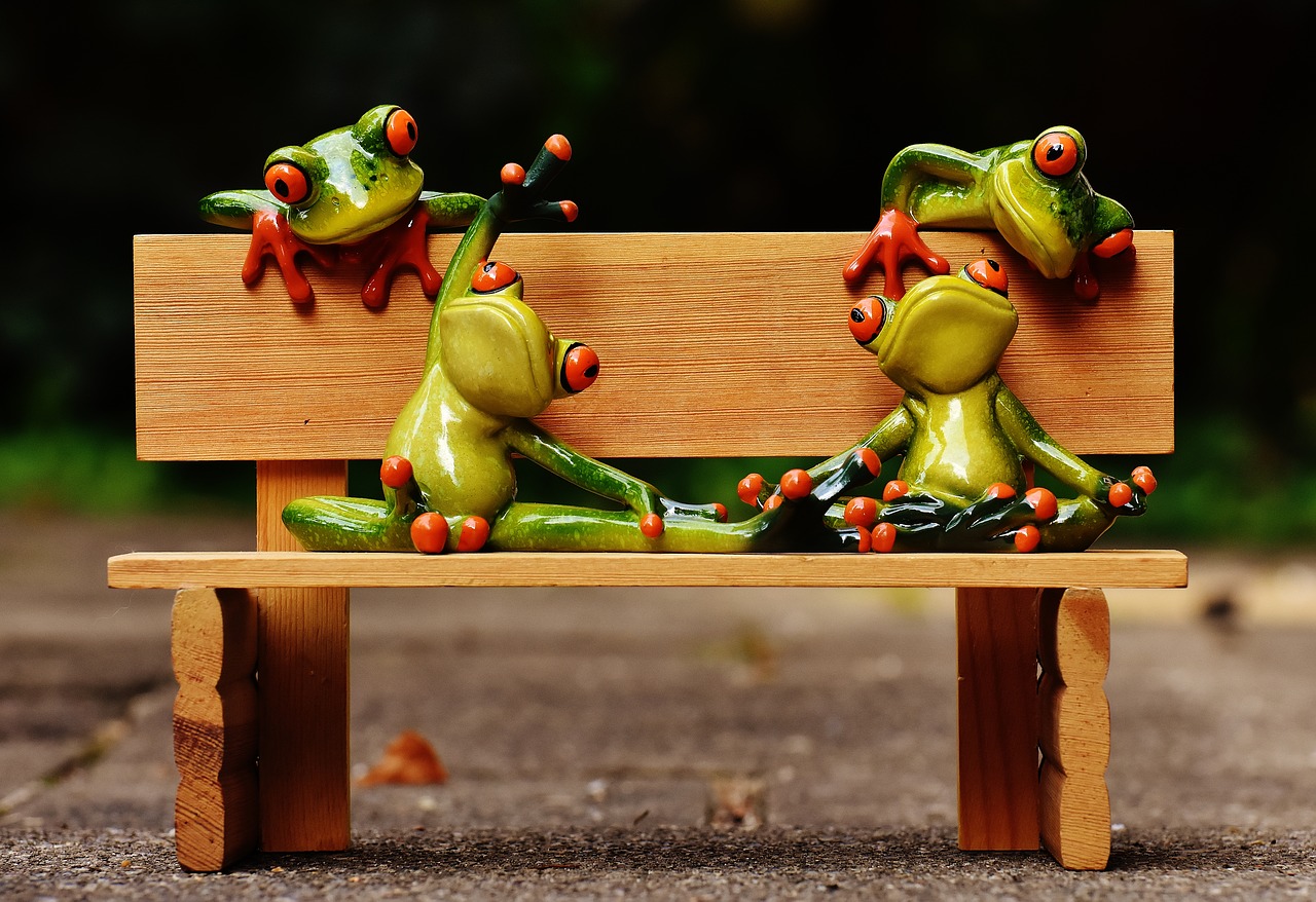 Image - frogs yoga bank bench relaxed