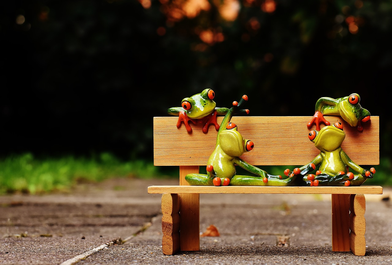 Image - frogs yoga bank bench relaxed