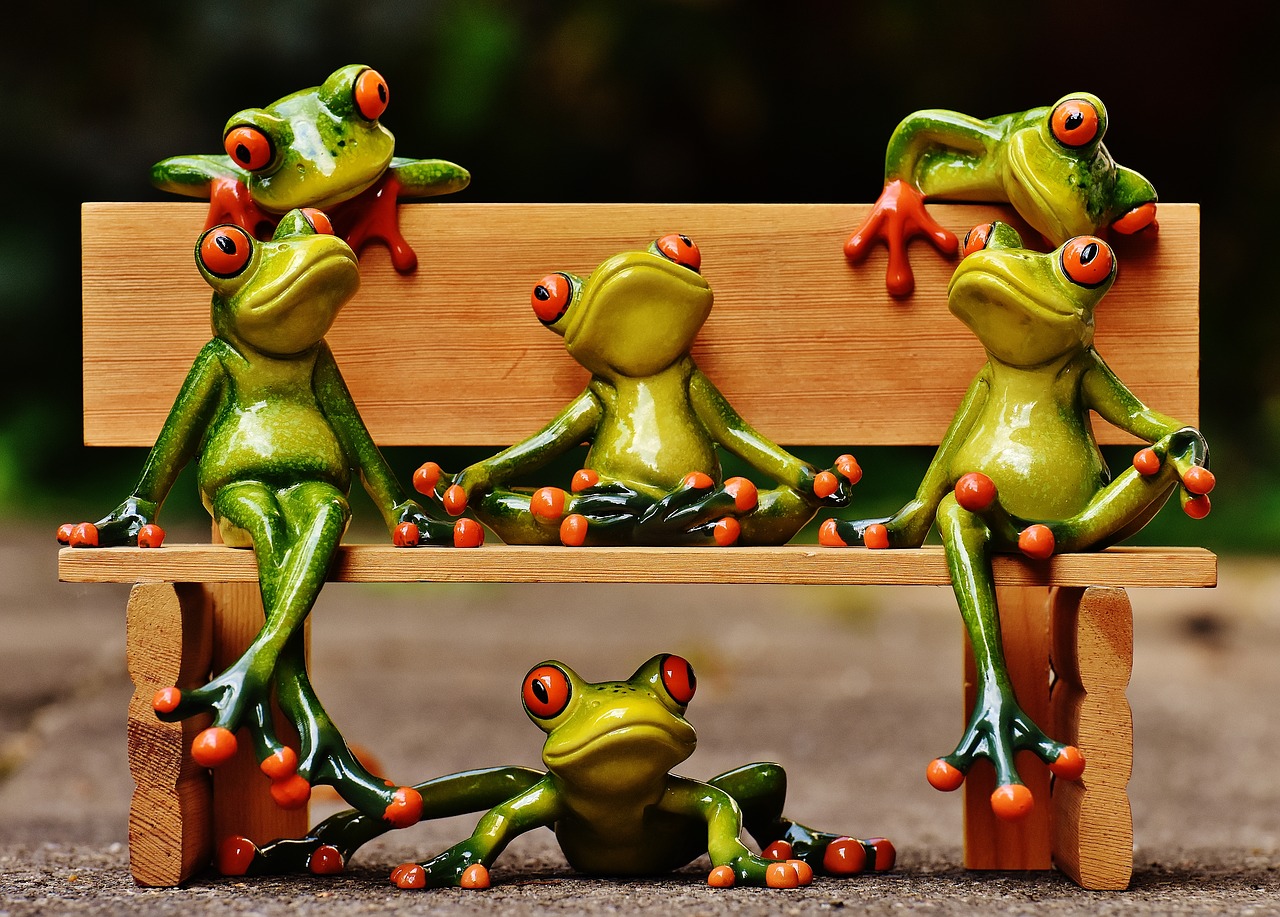 Image - frogs sociable bank bench relaxed