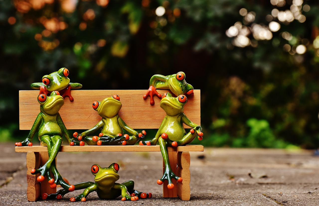 Image - frogs sociable bank bench relaxed