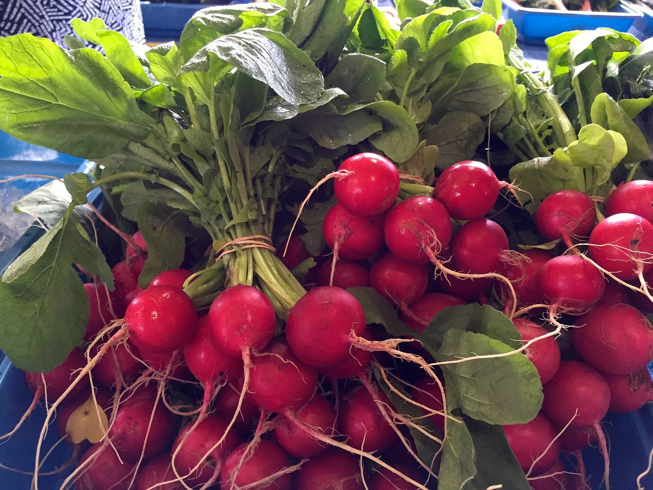 Image - radishes fresh market food healthy