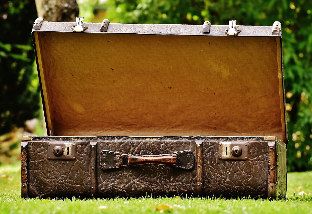 Image - luggage antique leather