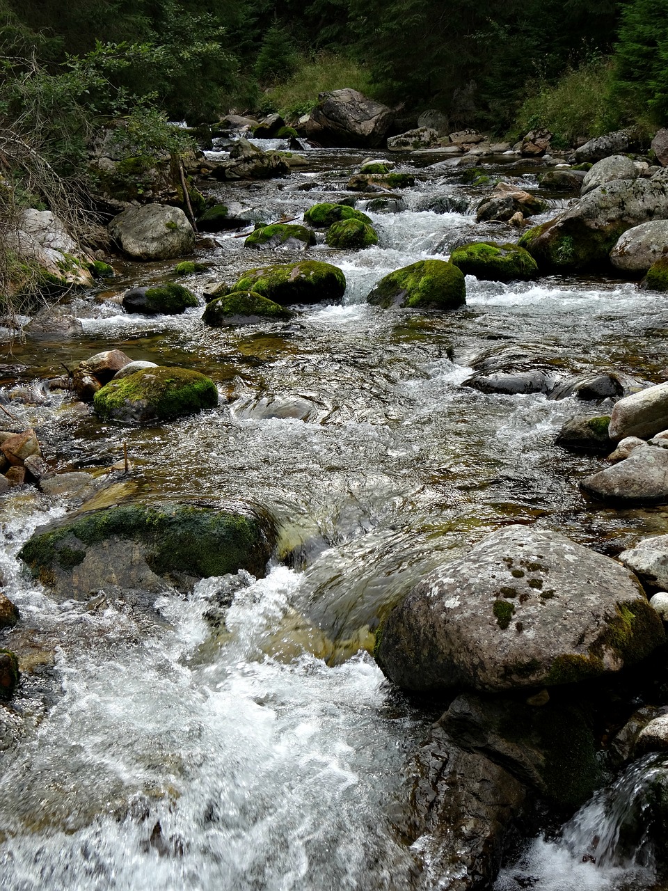 Image - tatry mountains water torrent