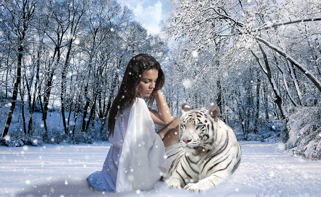 Image - woman tiger snow winter nature